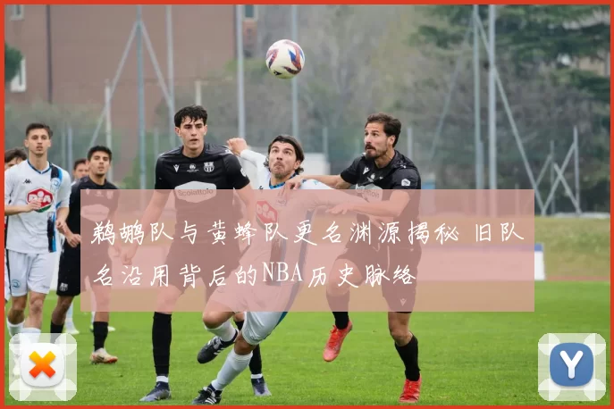 鹈鹕队与黄蜂队更名渊源揭秘 旧队名沿用背后的NBA历史脉络