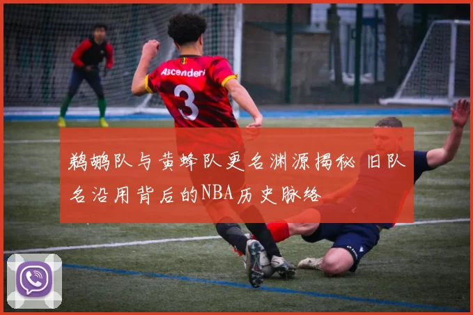 鹈鹕队与黄蜂队更名渊源揭秘 旧队名沿用背后的NBA历史脉络