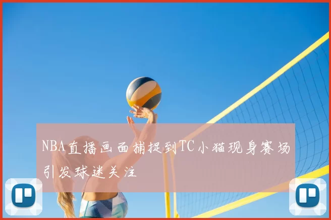 NBA直播画面捕捉到TC小猫现身赛场引发球迷关注
