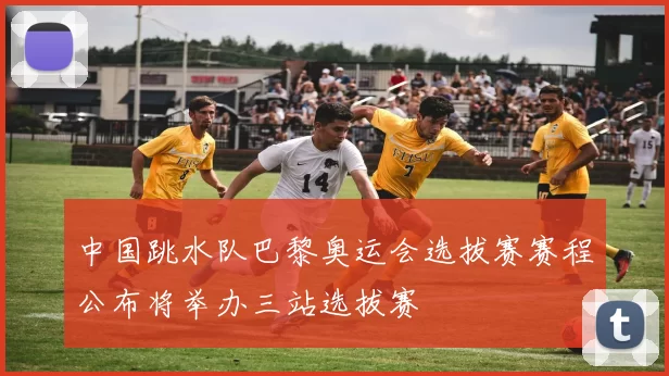 中国跳水队巴黎奥运会选拔赛赛程公布将举办三站选拔赛